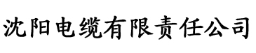 亚洲av家庭一级片在线免费观看电缆厂logo